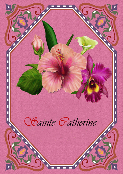 Carte Sainte Catherine Sur Un Fond Rose : Envoyer une 